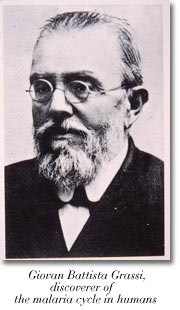 Giovanni Battista Grassi, discoverer of the malaria cycle in humans